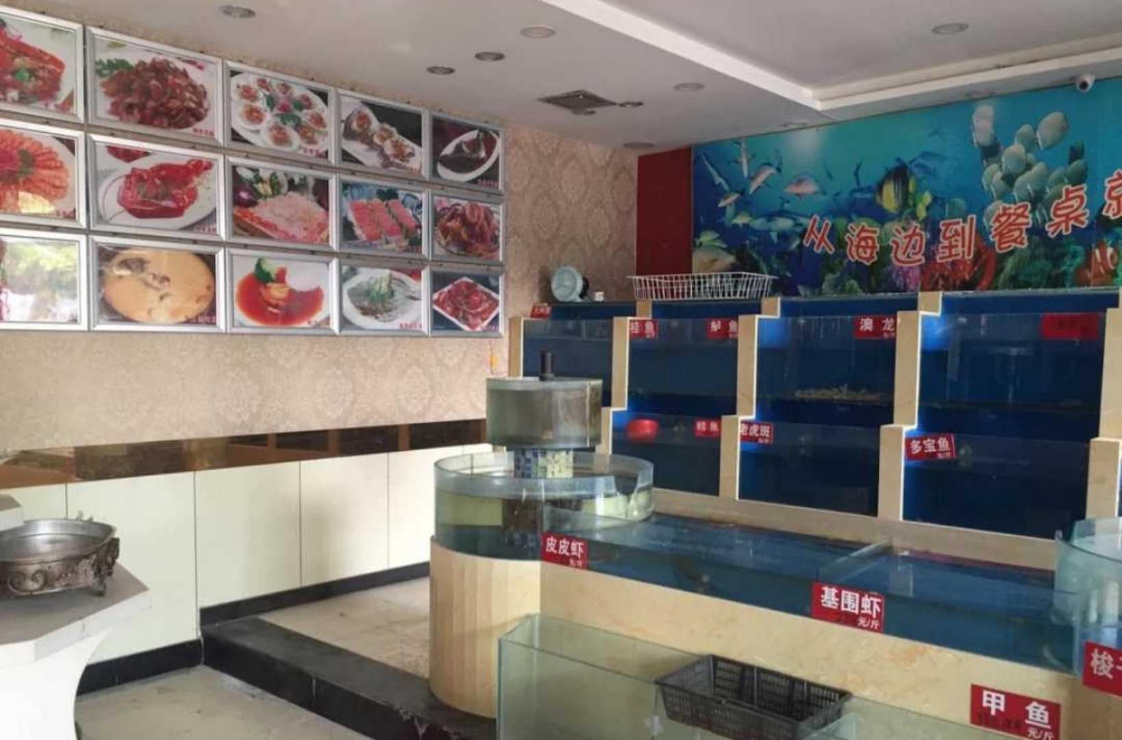 荔湾区定做海鲜烧烤店海鲜池，广州芳村安装鱼池制冷机  荔湾区定做海鲜池  芳村鱼池制冷机