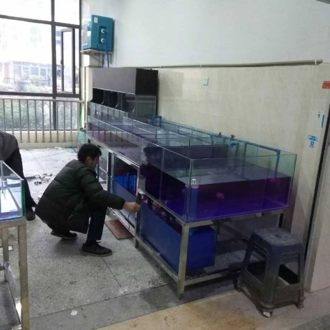 荔湾区定做海鲜烧烤店海鲜池，广州芳村安装鱼池制冷机  荔湾区定做海鲜池  芳村鱼池制冷机