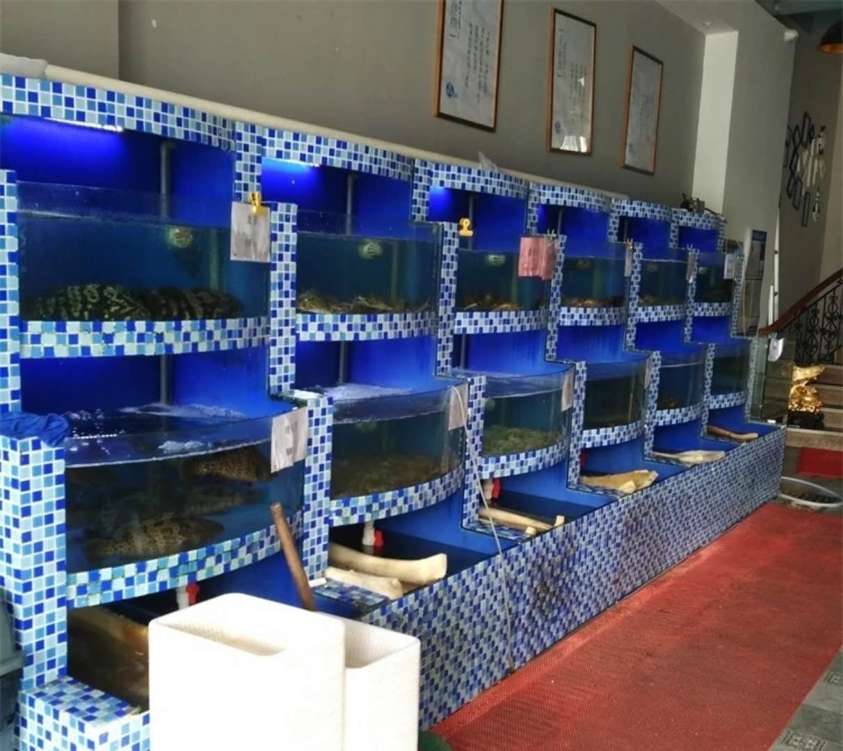 番禺定做鱼生饭店玻璃鱼池，番禺万达广场海鲜自选鱼池  番禺定做鱼生鱼池  番禺酒店玻璃鱼池  万达海鲜自助鱼池