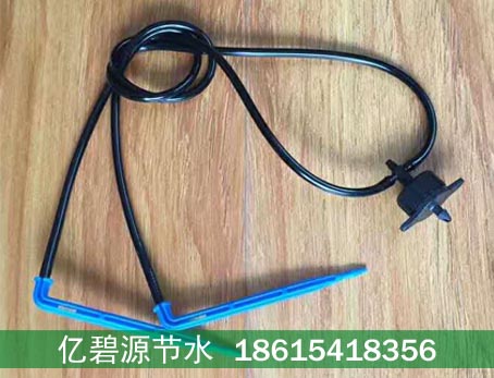 南宁苗圃盆栽滴箭功效特点  南宁盆栽滴箭