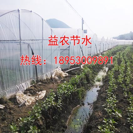 达拉特旗无土温室微灌水肥一体机  达拉特旗水肥一体机  温室水肥一体机