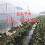 呼市蔬菜大棚雾化吊喷设计方案