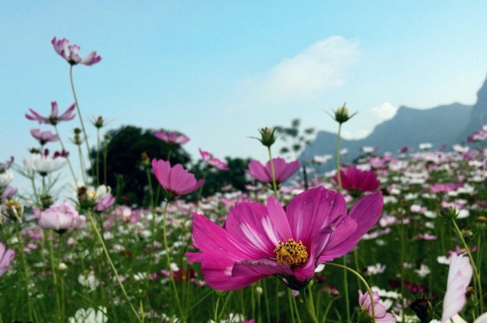 花海工程公司-鹰潭新闻