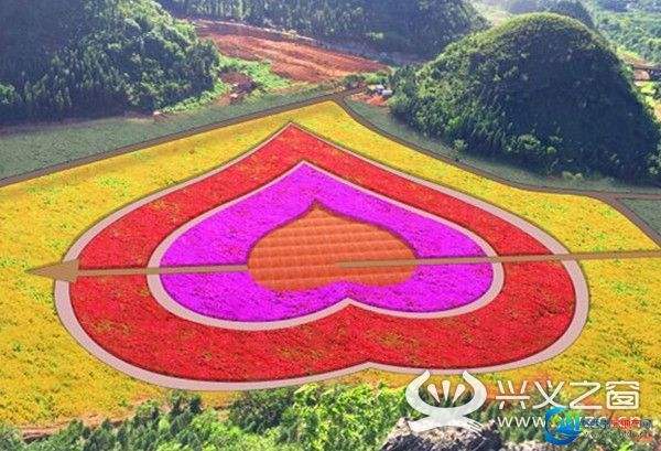景观花海批发-温州新闻