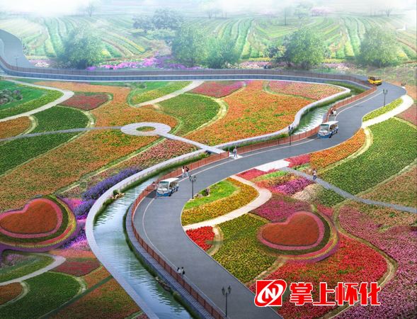波斯菊种子播种方法-贵阳新闻