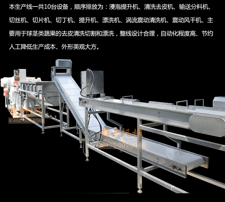大型果蔬净菜加工中心流水线设备 厂家直销球茎类加工机&nbsp;&nbsp;净菜流水线设备&nbsp;&nbsp;球茎果蔬加工机