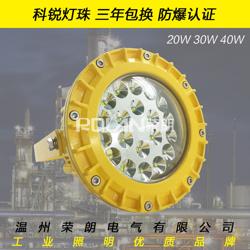 BFC9103-30W-AC220VLED防爆泛光灯  30WLED防爆灯