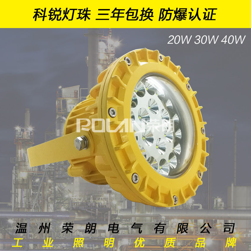 BFC9103-30W-AC220VLED防爆泛光灯  30WLED防爆灯