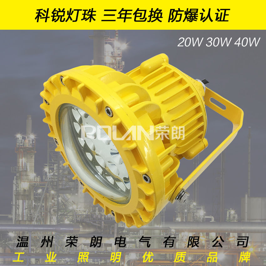 BFC9103-30W-AC220VLED防爆泛光灯  30WLED防爆灯