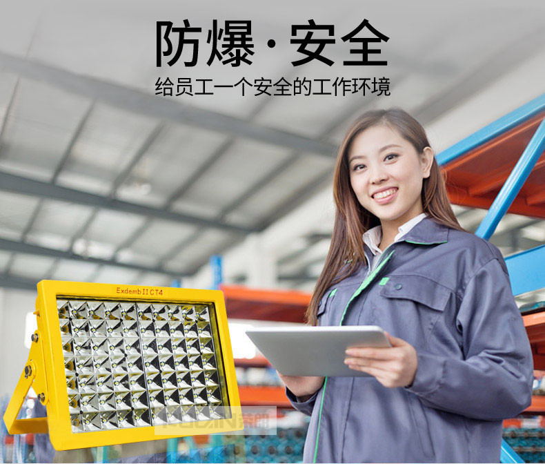 优质100WLED防爆灯 节能型LED泛光灯