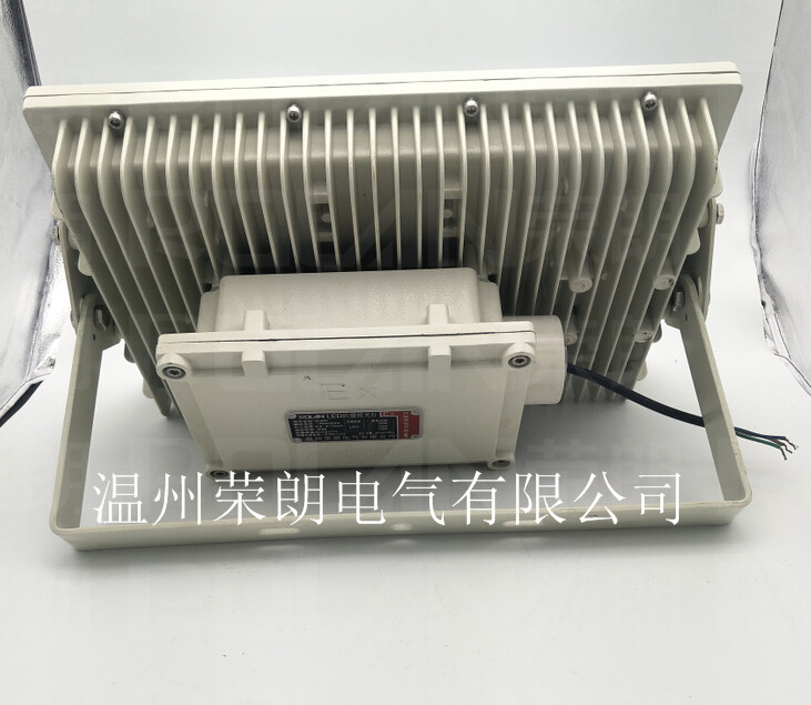 100WLED防爆灯 沼气房防爆照明灯  100W防爆照明灯
