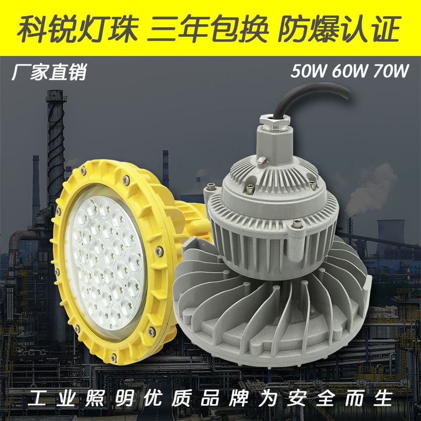 SW7151-40WLED防爆灯 侧壁式防爆灯
