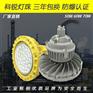 GB8035-30WLED防爆灯 工厂LED泛光灯