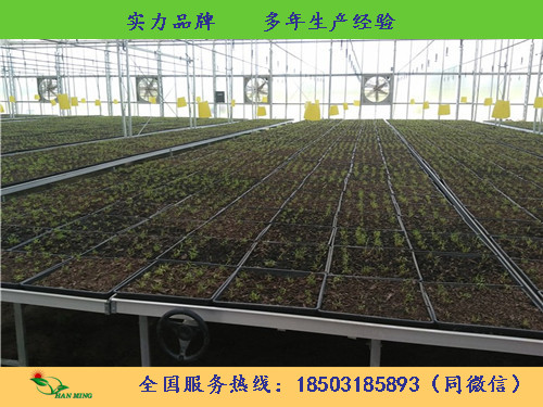 整体苗床-厂家供应-安平汉明  苗床厂家