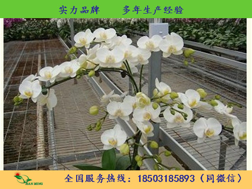 整体苗床-厂家供应-安平汉明  苗床厂家