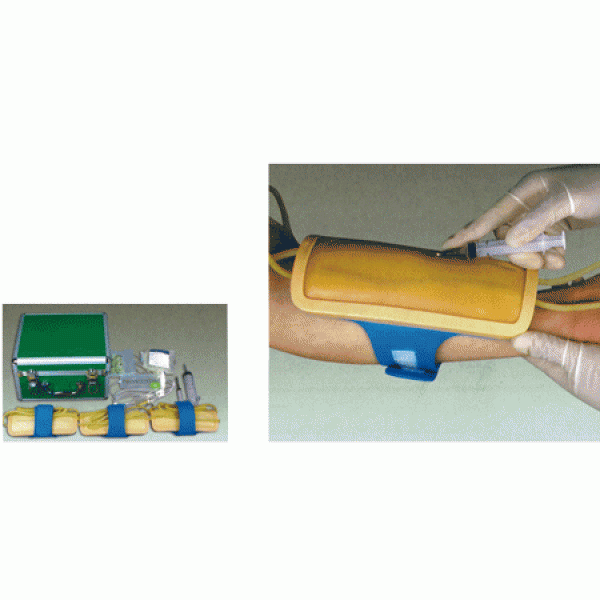 康谊牌KAY-S14前臂静脉穿刺外套前臂静脉穿刺训练模型&nbsp;&nbsp;教学模具