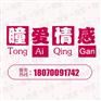 深圳情感咨询机构-深圳情感公司-瞳爱情感学院
