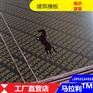 建筑模板厂家