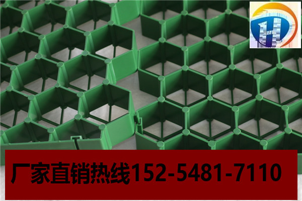 合肥绿化植草格价格走势 合肥植草格