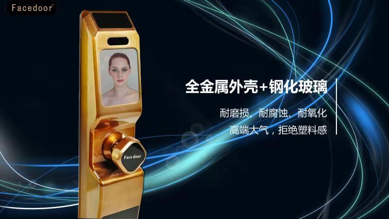 全自动人脸识别家用防盗智能锁  人脸识别锁  家用智能锁
