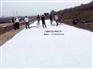 天然钠基膨润土防水毯生产厂家