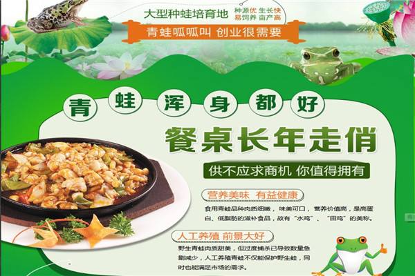 泰通青蛙养殖泰通10号青蛙养殖技术&nbsp;&nbsp;江苏泰通养殖青蛙