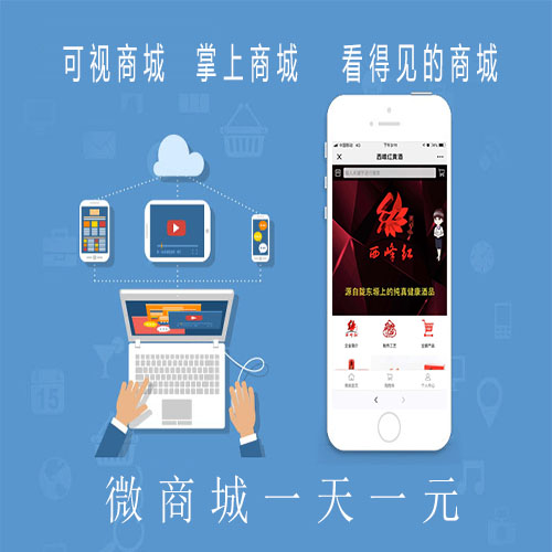 供庆阳微商城价格费用