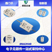 德国西门子熔断器3NA3130-2C 100A	500V  保险丝  快速熔断器