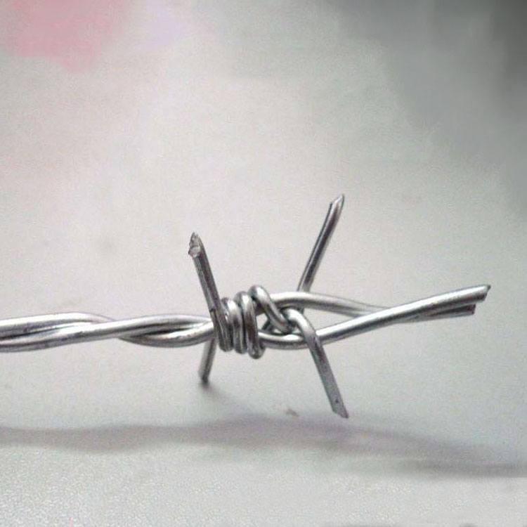 专业生产双股/单股刺绳防护网厂家  双股刺绳防护网