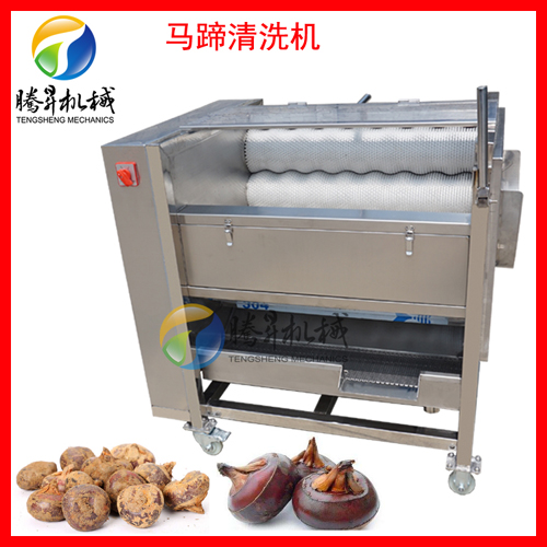 大型毛棍清洗去皮机 商用瓜果清洗机去皮机  全自动清洗机