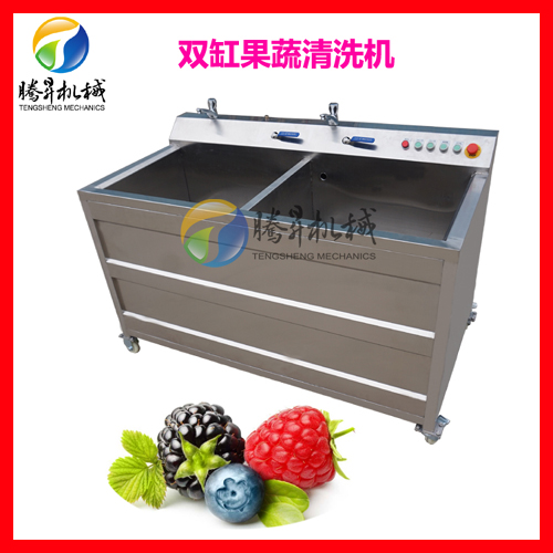 单缸臭氧气泡洗菜机 娃娃菜/辣椒清洗机  臭氧洗菜机  气泡叶菜清洗机
