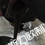 克莱门特水冷机组保养，绝缘阻值检测