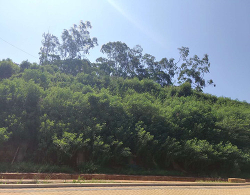 云南大理州专业提供边坡复绿植草施工用草  边坡专用草籽  生态修复草种  复绿施工植草