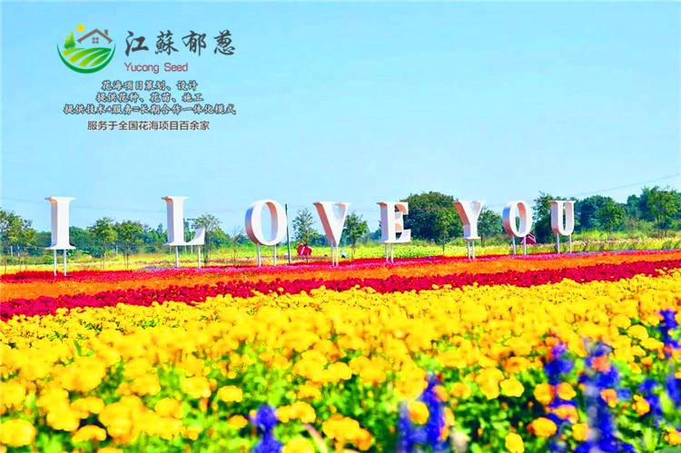 红色虞美人种子种植季节温度...湖北省咸宁市