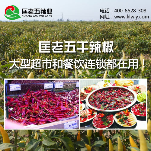 湖南小龙虾用干辣椒 匡老五辣业