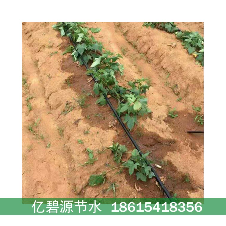 滨州大棚精准控制滴灌水肥费用预算  滨州大棚滴灌