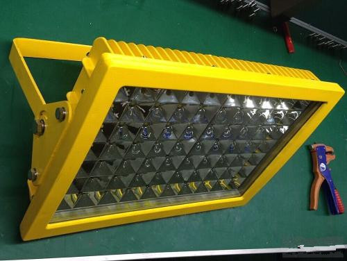 RLEFL319-100wLED防爆投光灯&nbsp;&nbsp;RLEFL319LED防爆灯