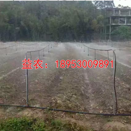 黔西南倒挂微喷工程过滤器系统  黔西南微喷工程