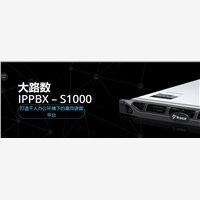 语音网关,厦门亿联,厦门朗视,深圳华维品牌值得拥有 朗视语音网关 朗视IPPBX