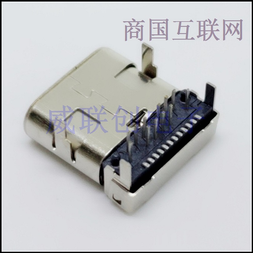 24P夹板TYPE C母座/180度 LCP白胶&nbsp;&nbsp;TYPE C母头&nbsp;&nbsp;USB连接器