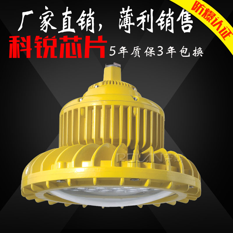 TG734LED泛光灯、化工厂80WLED防爆灯  化工厂LED防爆灯