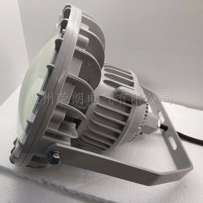 HRD92LED防爆灯 厂房100WLED防爆泛光灯