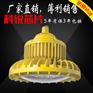 TG734LED泛光灯、化工厂80WLED防爆灯