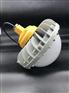 紫光GF9035LED灯 80WLED防爆泛光灯
