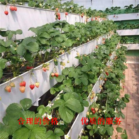 A字架草莓种植槽 孝感PVC草莓栽培槽 环保耐用  草莓立体栽培槽厂