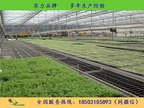 汉明销售育苗网 洛阳热镀锌网片  规格齐全 现货供应  育苗网厂家  育苗网规格