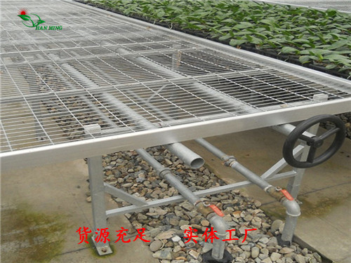 江苏温室苗床品牌排名  温室苗床网 厂家  温室苗床哪家好