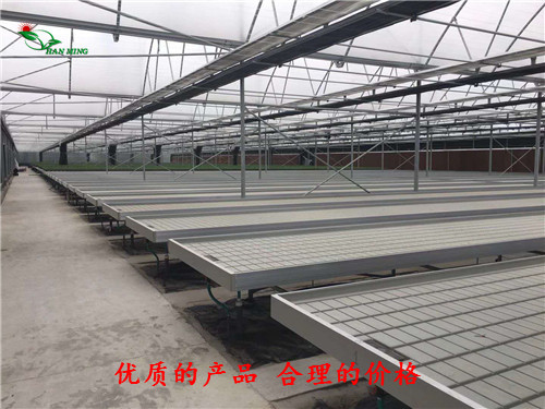 什么叫潮汐式苗床？高效能农业设备生产基地  潮汐式苗床生产基地  潮汐式苗床厂