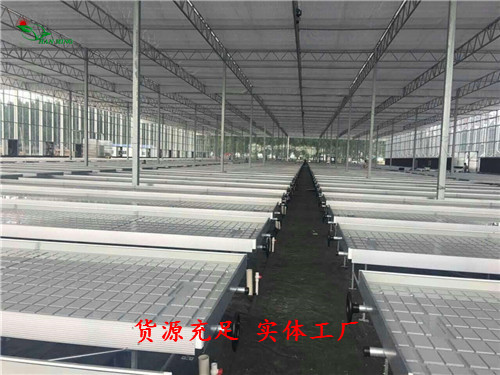 江苏高邮使用潮汐苗床好处 潮汐式灌溉栽培技术优点  潮汐苗床优点  江苏高邮潮汐苗床