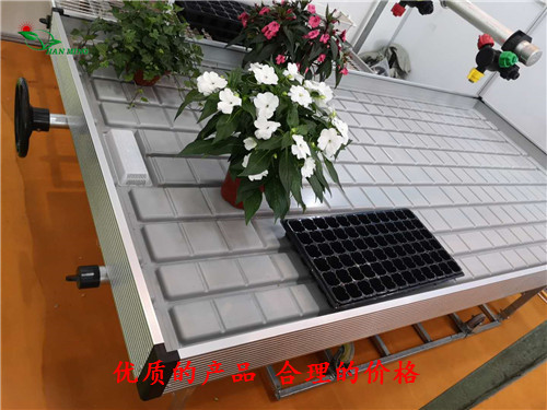 江苏高邮使用潮汐苗床好处 潮汐式灌溉栽培技术优点  潮汐苗床优点  江苏高邮潮汐苗床